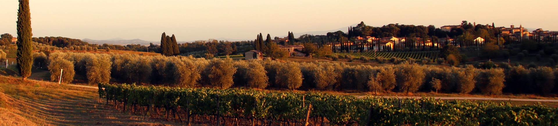 Das Chianti - die schönste Seite der Toskana